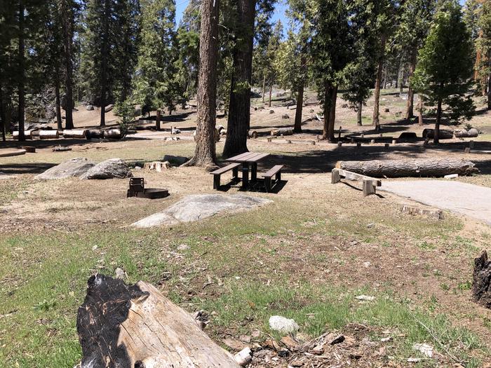 Dinkey creek site #87picnic table and fire pit 