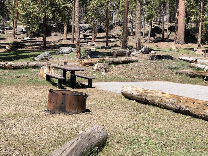 Dinkey creek site #88picnic table and  fire pit 
