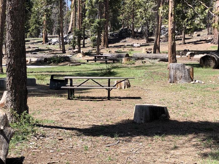 Dinkey Creek Site #90picnic table and fire pit 