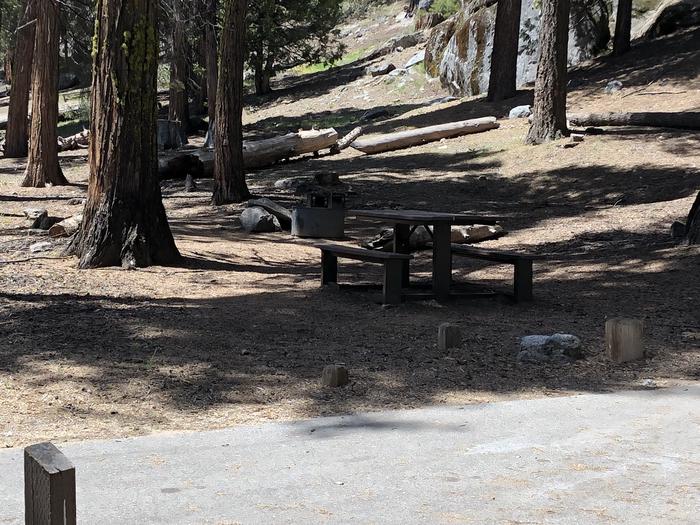 Dinkey Creek site #102picnic table and fire pit 