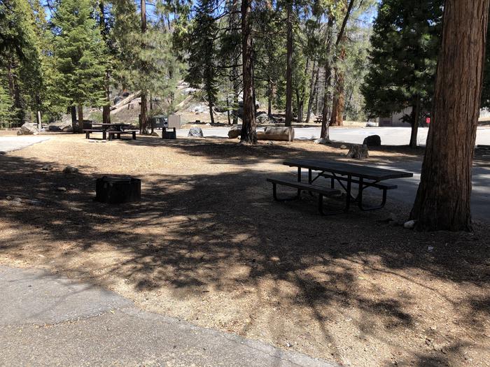 Dinkey CReek site #113picnic table and fire pit 