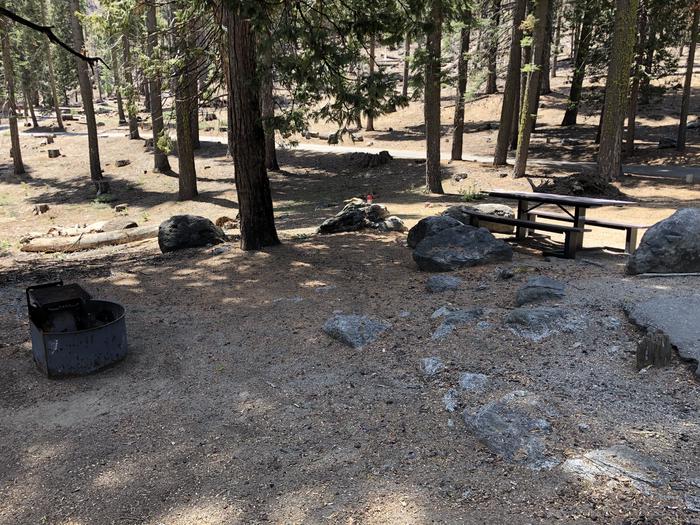 Dinkey Creek site #114picnic table and fire pit 