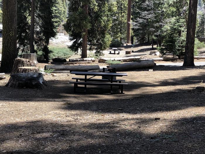 Dinkey Creek Site #122picnic table and fire pit 