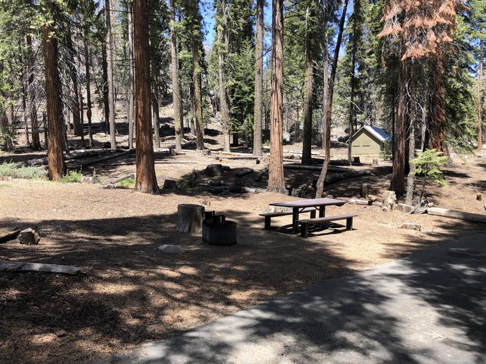 Dinkey Creek Site #124picnic table and fire  pit 