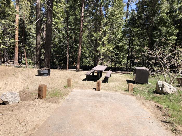 Dorabelle site 2fire pit, picnic table and bear box 