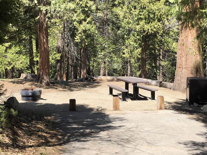 Dorabelle site #4picnic table, fire pit and bear box