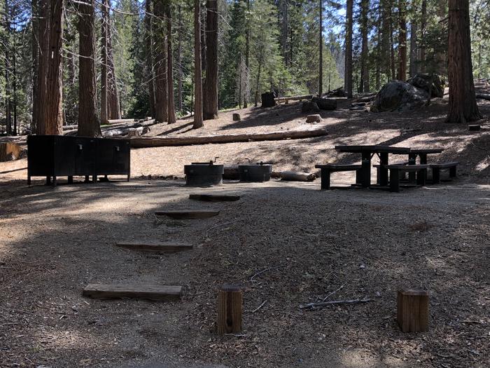 Dorabelle site #12picnic table, fire pit, and bear box 