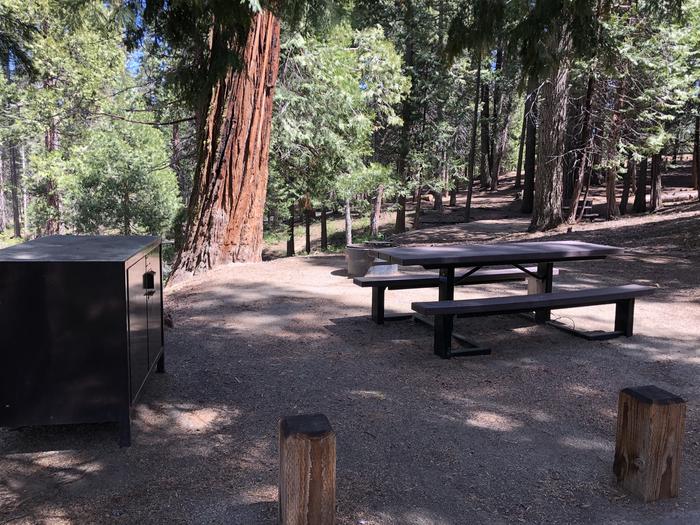 Dorabelle site #13picnic table, fire pit and bear box 