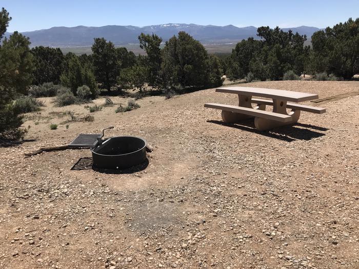A photo of Site 4 at Rocky Peak Campground with Picnic Table, Fire Pit