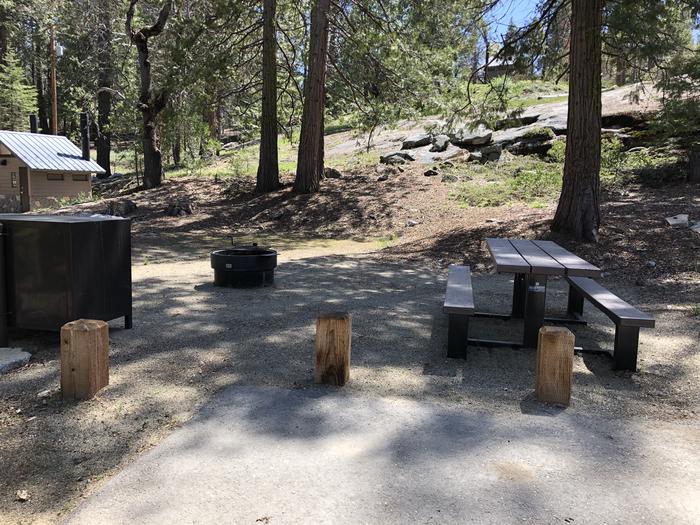 Dorabelle site #15picnic table, fire pit and bear box 