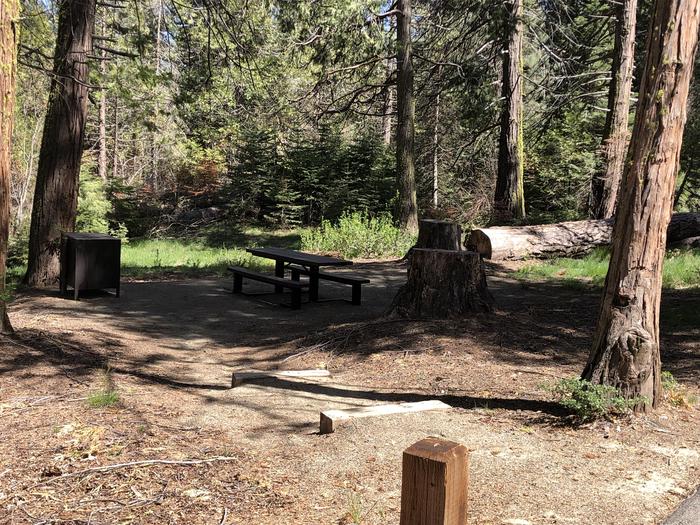 Dorabelle site #31picnic table, fire pit and bear box 
