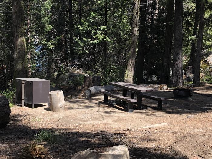 Dorabelle site #32picnic table, fire pit and bear box 