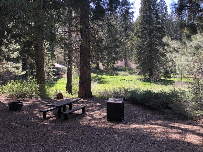Dorabelle site #33picnic table, fire pit and bear box