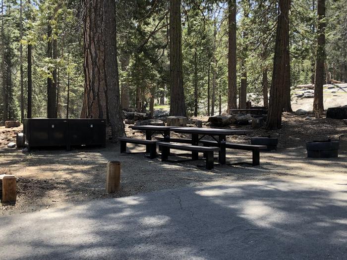 Dorabelle site #38picnic table, fire pit and bear box 