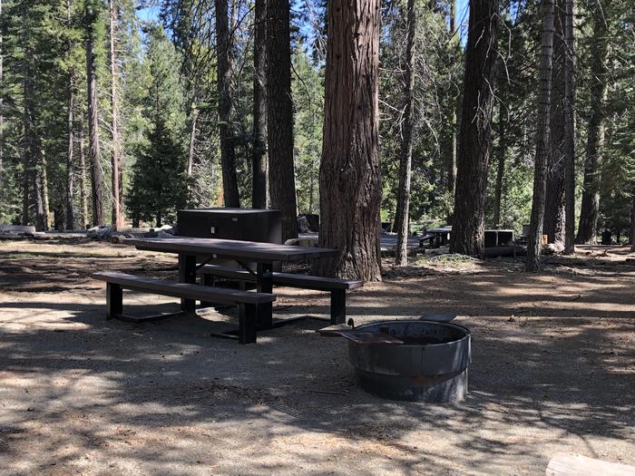 Dorabelle site #44picnic table, fire pit and bear box 