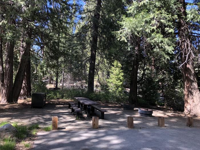 Dorabelle site #45, Double site picnic table, fire pit and bear box