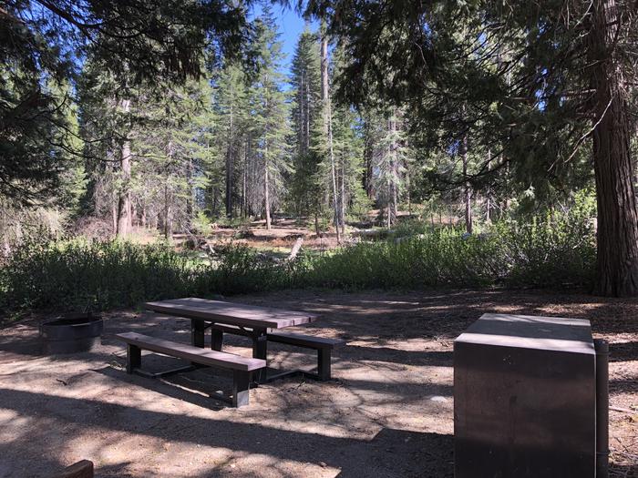 Dorabelle site #46picnic table, fire pit and bear box 