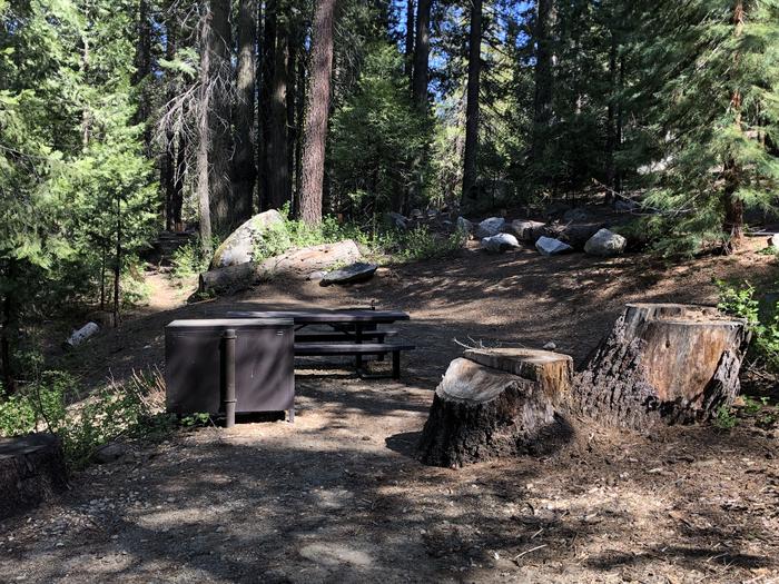 Dorabelle #59 picnic table, fire pit and bear box 