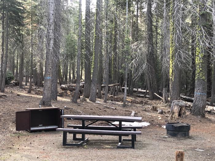 Rancheria Site #6picnic table, fire pit, bear box 