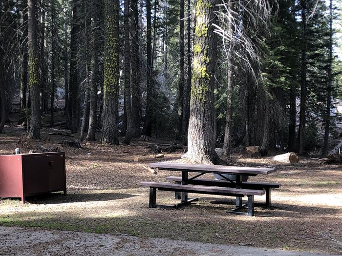 Rancheria Site #9picnic table, fire pit, bear box 