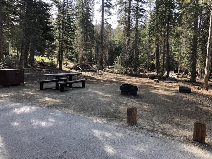 Rancheria Site #37 picnic table, fire pit, bear box 