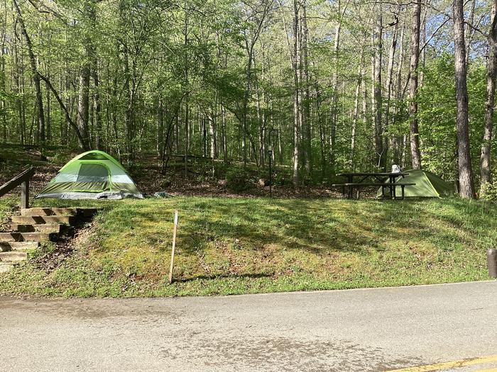 A photo of Site 049 of Loop Sites 2-29, 30-49, E1-E6 at ROUND SPRING with Picnic Table, Fire Pit, Tent Pad, Lantern Pole