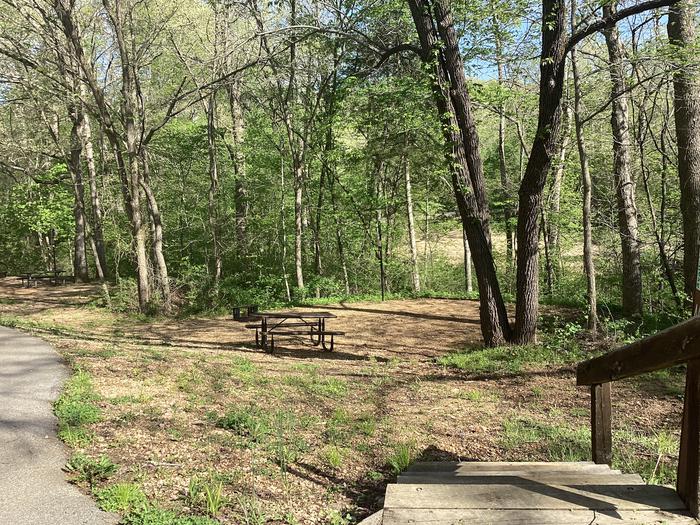 A photo of Site 046 of Loop Sites 2-29, 30-49, E1-E6 at ROUND SPRING with Picnic Table, Fire Pit, Shade, Lantern Pole