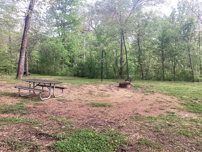 A photo of Site 033 of Loop Sites 2-29, 30-49, E1-E6 at ROUND SPRING with Picnic Table, Fire Pit, Lantern Pole