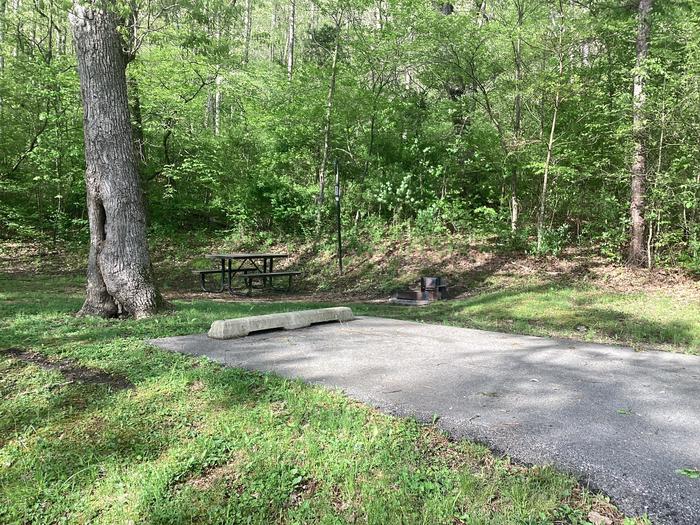 A photo of Site 014 of Loop Sites 2-29, 30-49, E1-E6 at ROUND SPRING with Picnic Table, Fire Pit, Lantern Pole