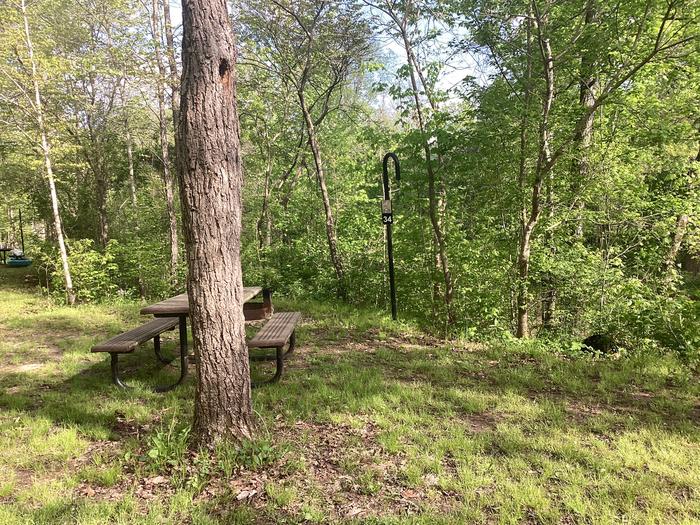 A photo of Site 034 of Loop Sites 2-29, 30-49, E1-E6 at ROUND SPRING with Picnic Table, Fire Pit, Lantern Pole