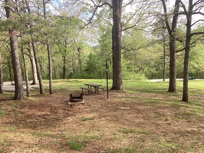 A photo of Site 013 of Loop Sites 2-29, 30-49, E1-E6 at ROUND SPRING with Picnic Table, Fire Pit, Lantern Pole