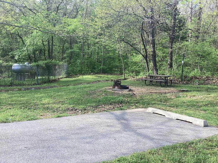 A photo of Site 037 of Loop Sites 2-29, 30-49, E1-E6 at ROUND SPRING with Picnic Table, Fire Pit, Shade, Lantern Pole