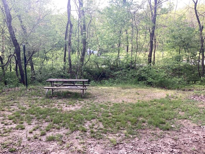 A photo of Site 031 of Loop Sites 2-29, 30-49, E1-E6 at ROUND SPRING with Picnic Table, Fire Pit, Lantern Pole