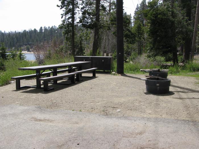 Billy Creek Lower #02 Picnic table, fire pit and bear box 