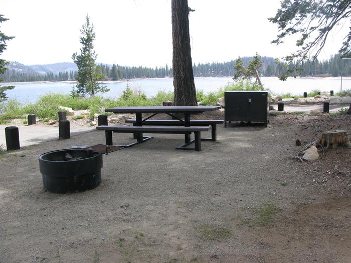 Billy Creek Lower #05picnic table, fire pit and bear box 