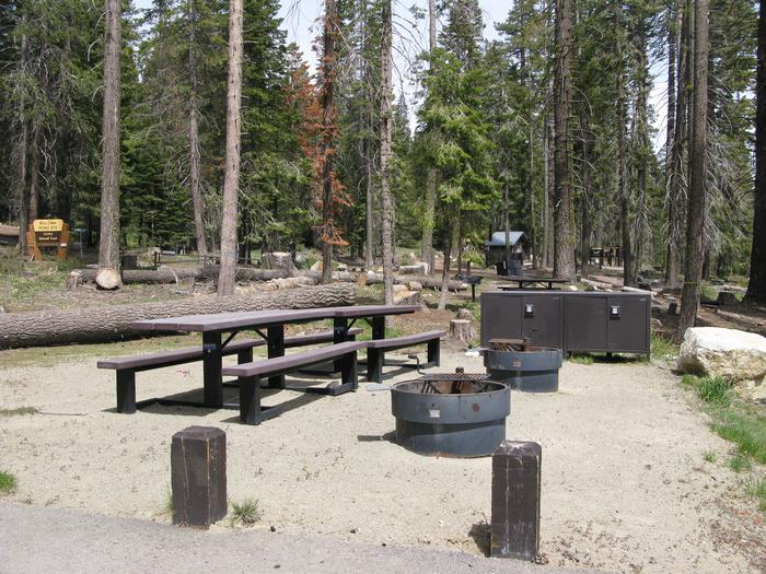 Billy Creek #07 Lower Double Site picnic table, fire pit and bear box