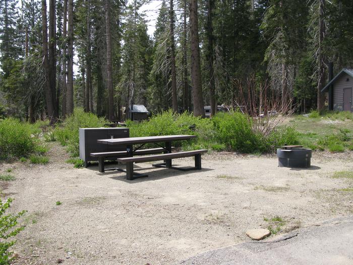 Billy Creek #06 Lower picnic table, fire pit and bear box