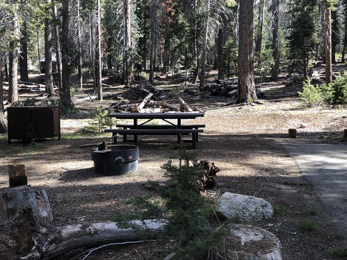 Rancheria site #51picnic table, fire pit and bear box 