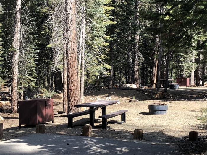 Rancheria site #54picnic table, bear box and fire pit 