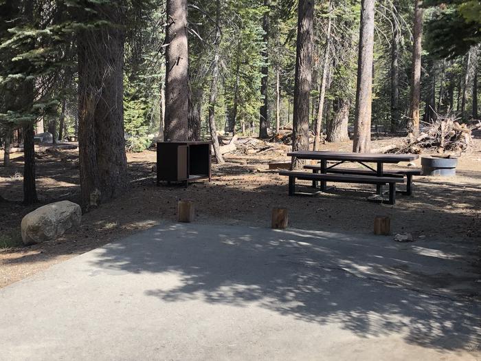 Rancheria Site #55 picnic table, fire pit and bear box 