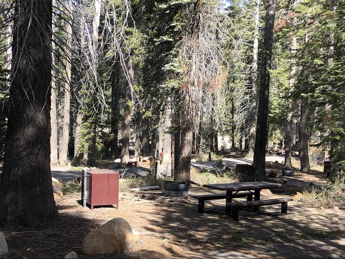 Rancheria Site #62picnic table, fire pit, bear box