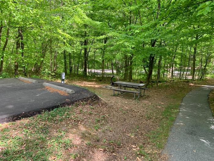 A grassy area with a blacktop sidewalk surrounded with green trees.B-12 fire ring and picnic table.