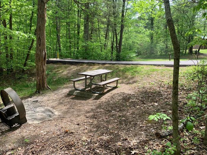 A brown dirt area with green trees and a blacktop surface.B-15 fire ring and picnic table area.