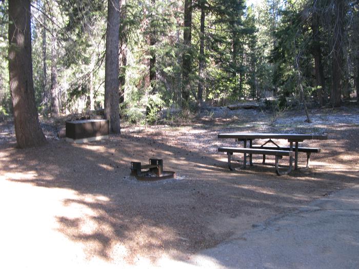 Deer Creek site 01picnic table, fire pit, bear box 