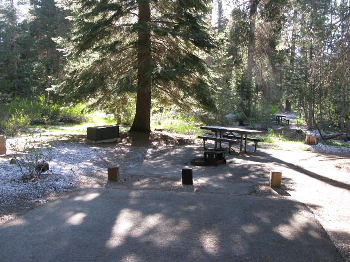 Deer Creek #02picnic table, fire pit, bear box