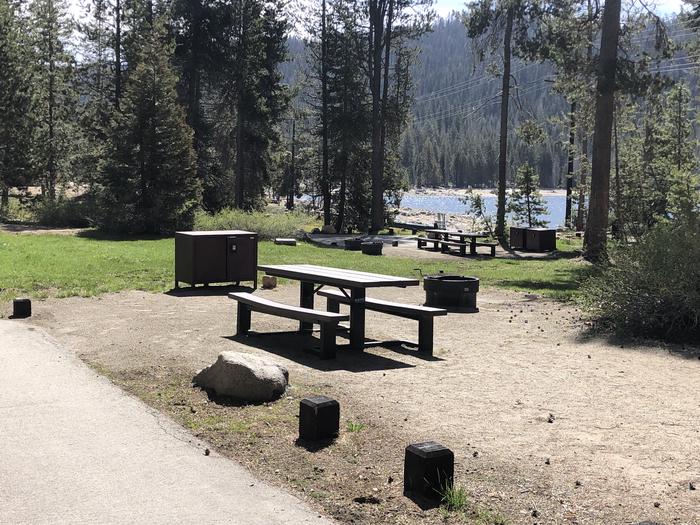 COLLEGE SITE #01PICNIC TABLE, FIRE PIT, BEAR BOX