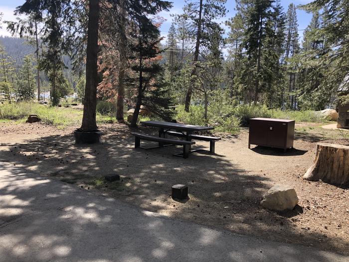 COLLEGE SITE #02PICNIC TABLE, FIRE PIT, BEAR BOX 