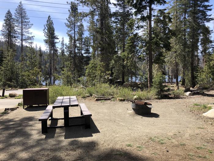 COLLEGE SITE #04PICNIC TABLE, FIRE PIT, BEAR BOX 