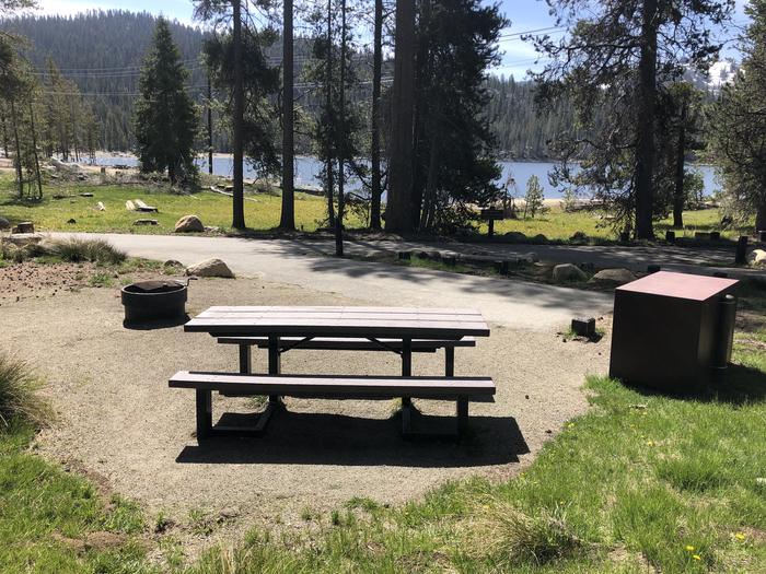 COLLEGE SITE #07PICNIC TABLE, FIRE PIT, BEAR BOX
