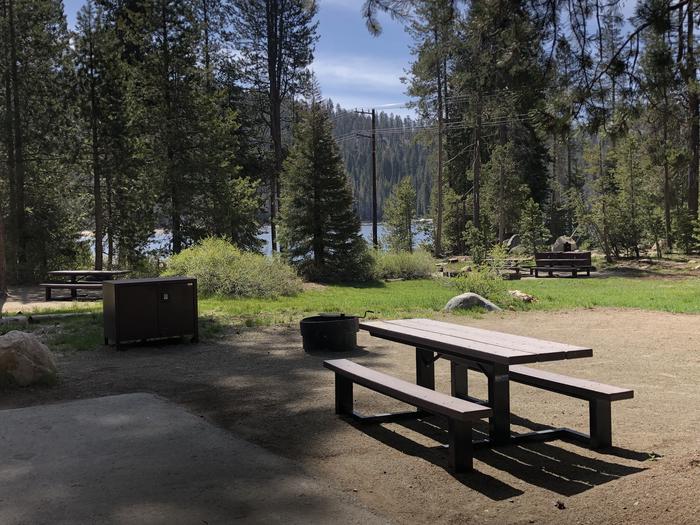 COLLEGE SITE #10PICNIC TABLE, FIRE PIT, BEAR BOX 